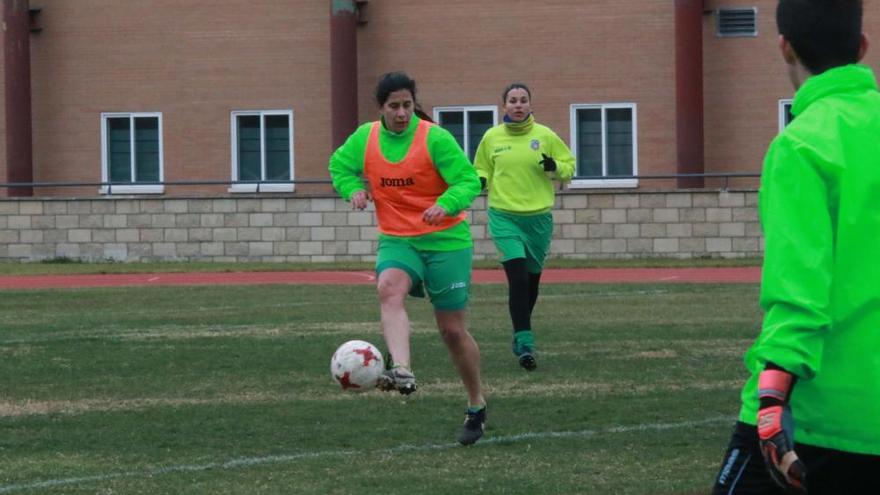 Los rojiblancos salvan una jornada negativa para el deporte en Zamora