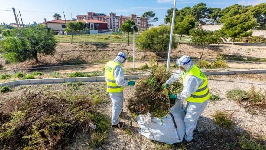 Acciones de desbroce en el foco de contagio de la fiebre Q en La Vila.