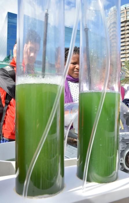 MINIFERIA SEMANA DE LA CIENCIA