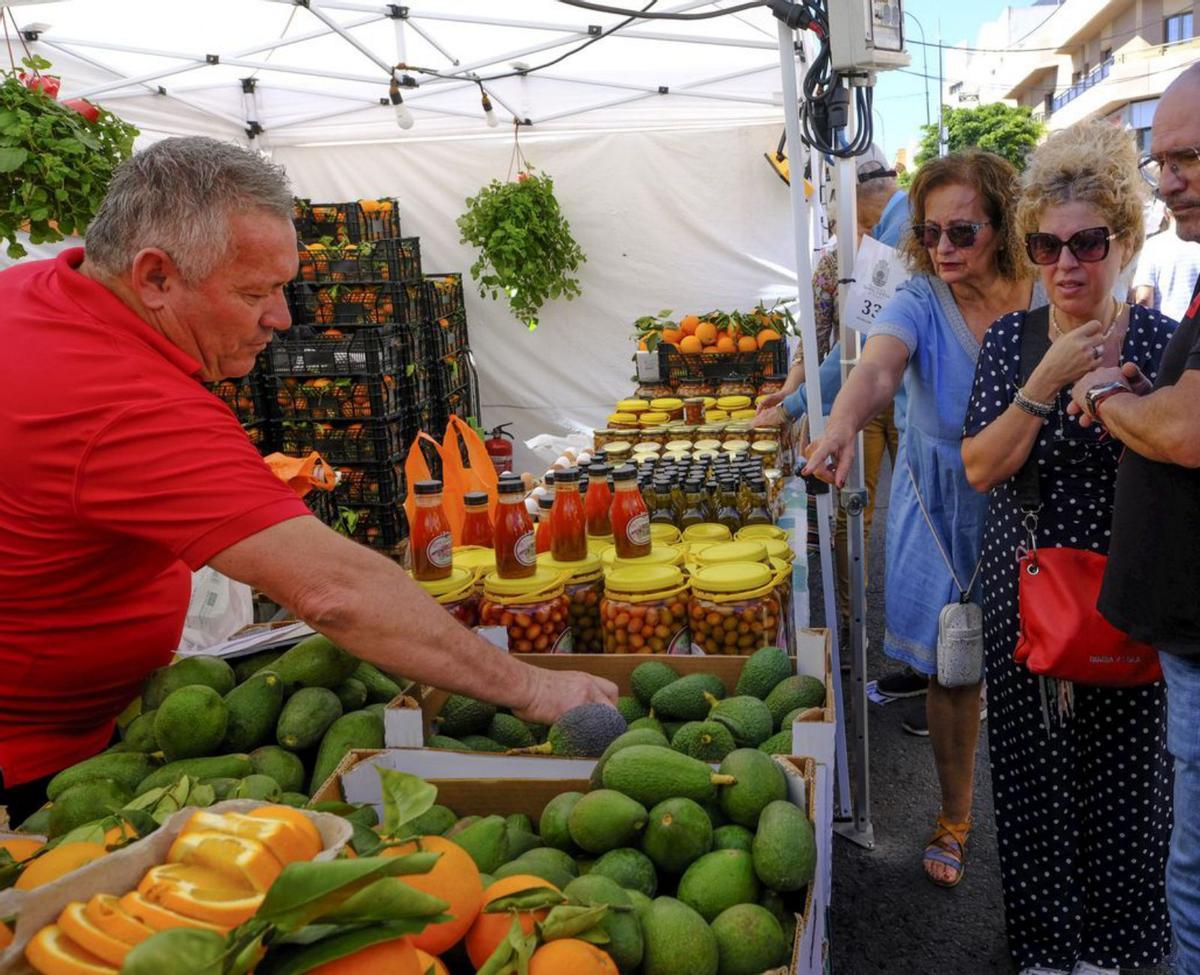 Puesto de la finca Aceitunas de Santa Lucía. | | JOSÉ CARLOS GUERRA