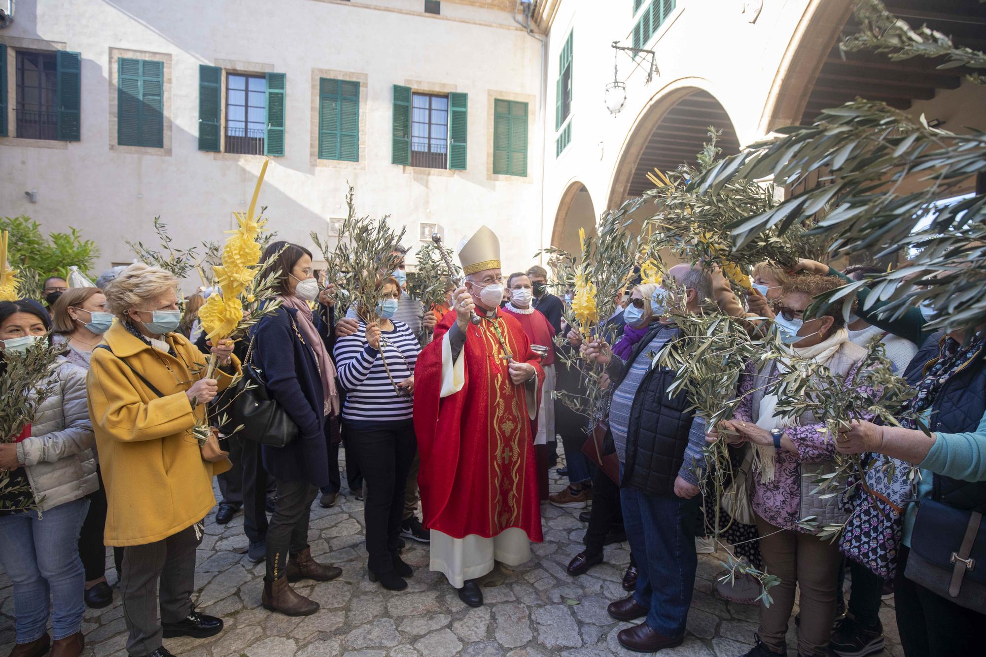 Un millar de personas participan en la fiesta del Ram en la Catedral