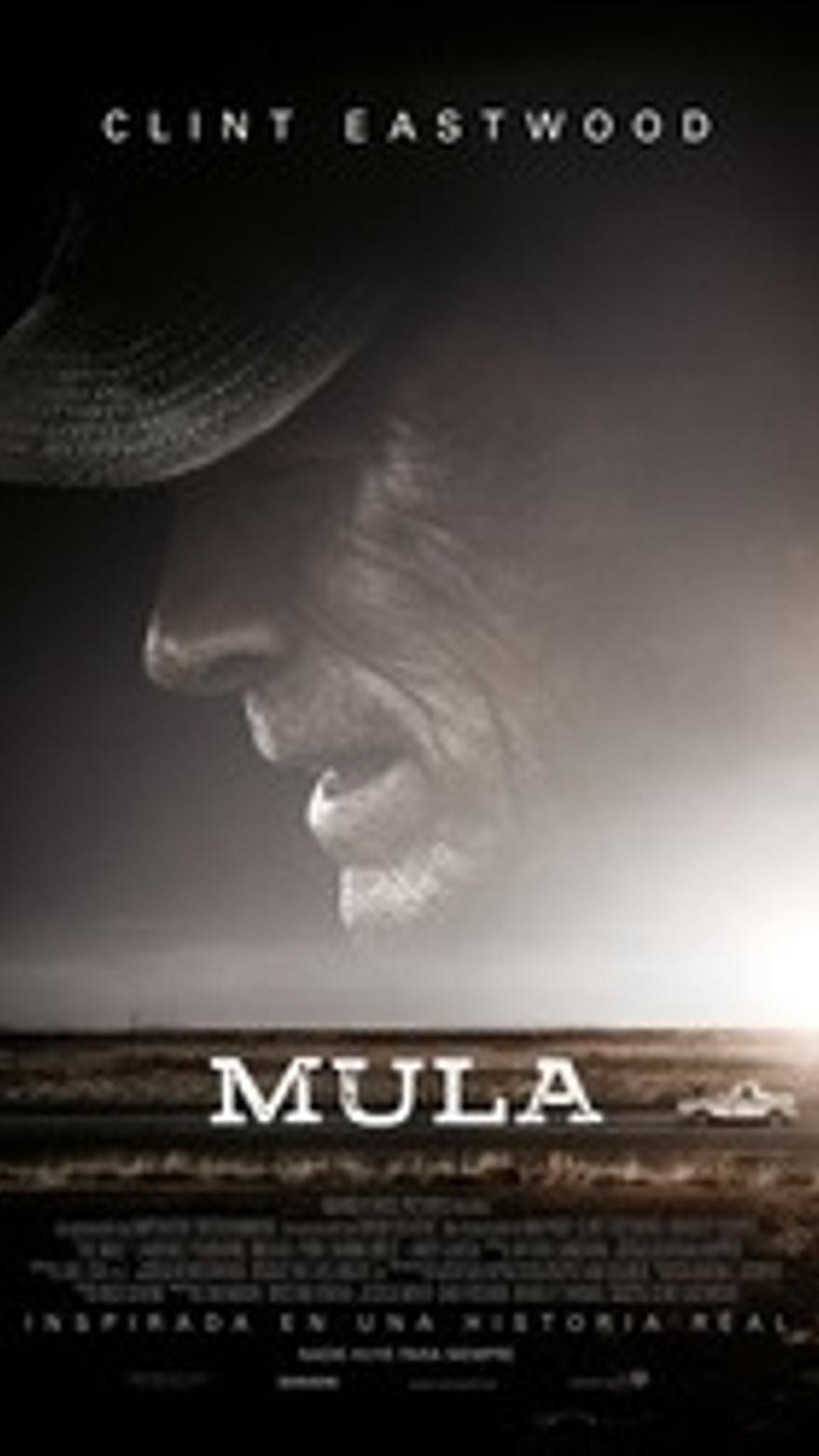 Mula