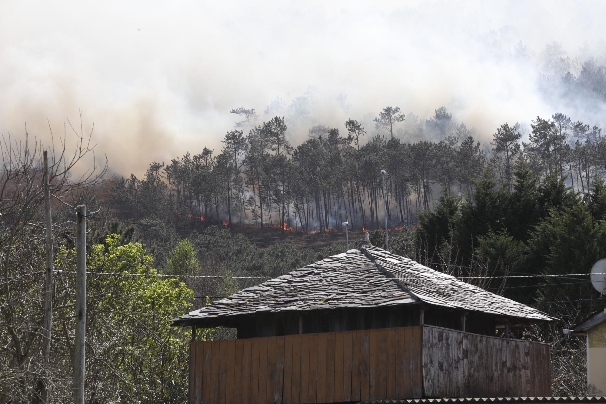 EN IMÁGENES: Gran oleada de incendios en Asturias