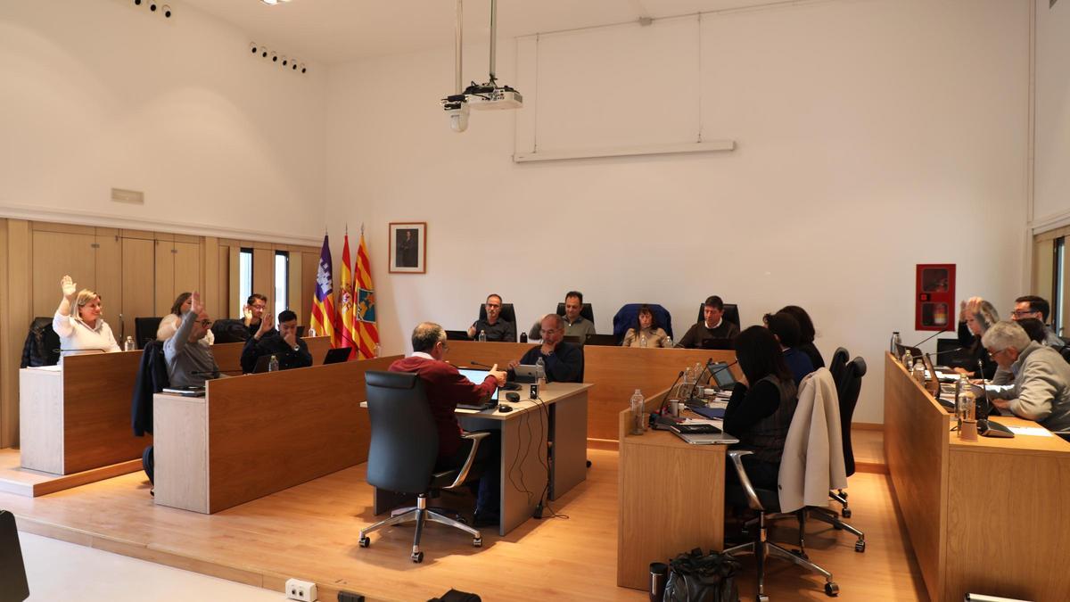 Una de las votaciones del pleno de noviembre del Consell Insular de Formentera