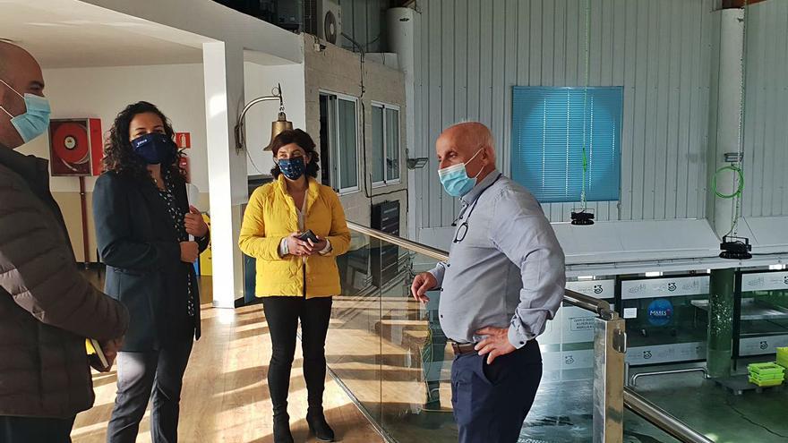 Félix Juncal, Susana Lenguas, Elena Estévez y José Manuel Rosas, ayer en la cofradía. | // FDV