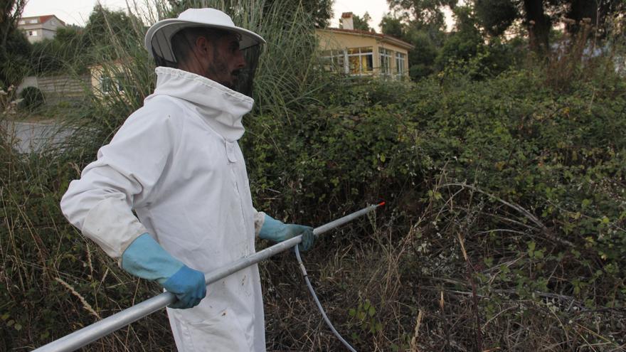 Un enjambre de abejas se atrinchera en una furgoneta en Vigo