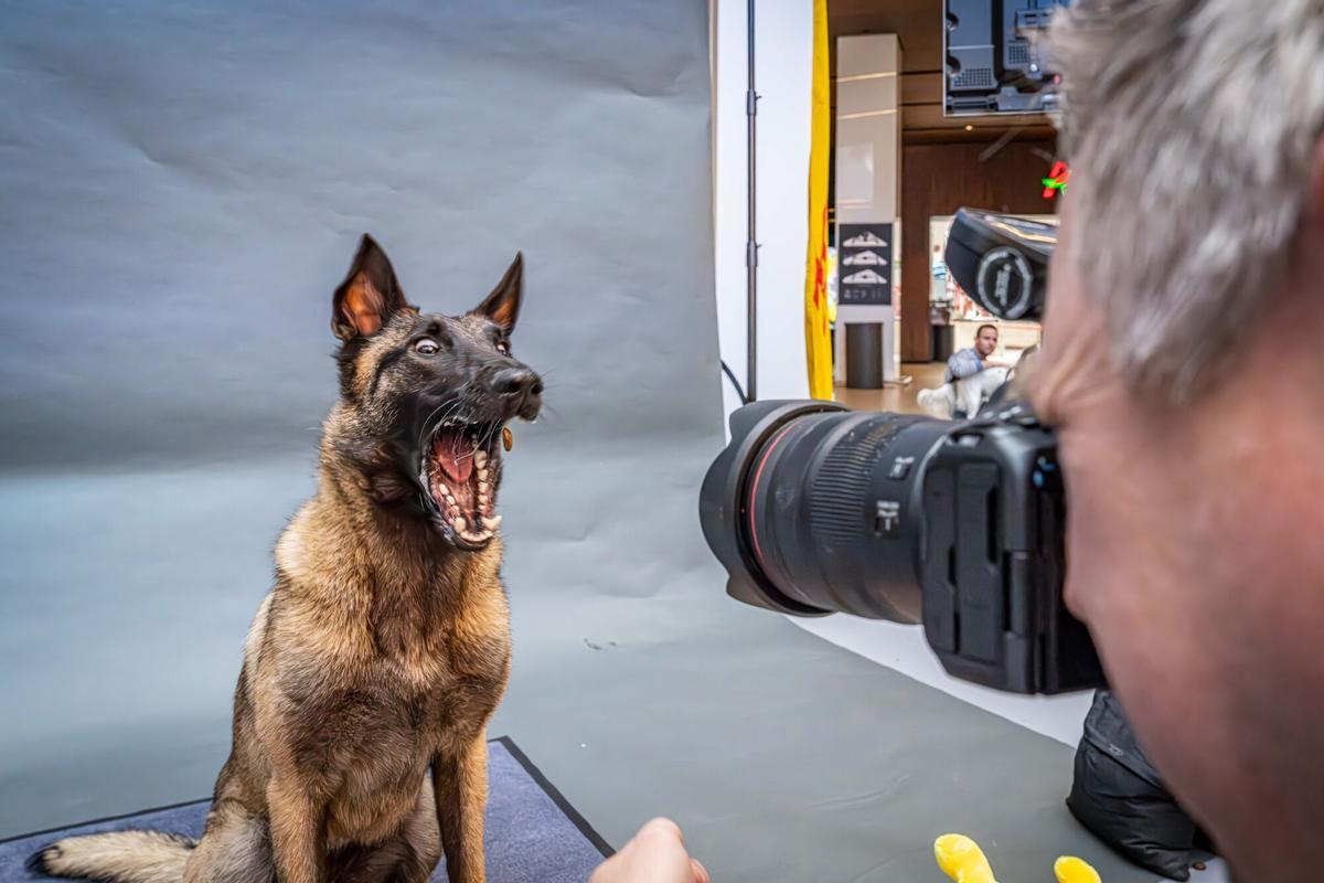 Barcelona, 16/04/2026 OnBarcelona. El fotógrafo de perros más viral del mundo: Christian Vieler estará en Barcelona del 16 al 18 de abril. AUTOR: MANU MITRU