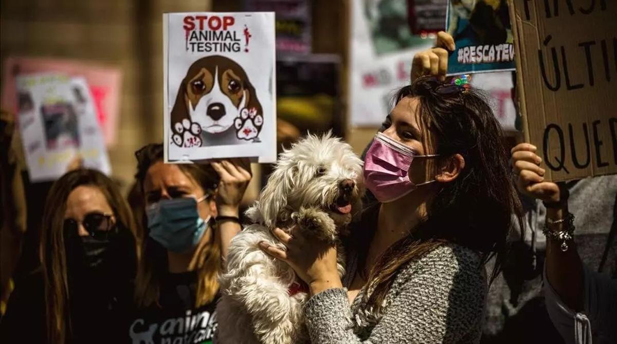 Una activista sostiene a su perro mientras participa en una protesta por los derechos de los animales en Barcelona para exigir el cierre del laboratorio de experimentación con animales Vivotecnia.
