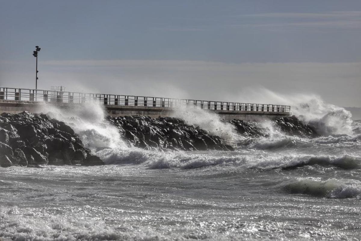 El temporal de viento deja decenas de incidentes en Mallorca