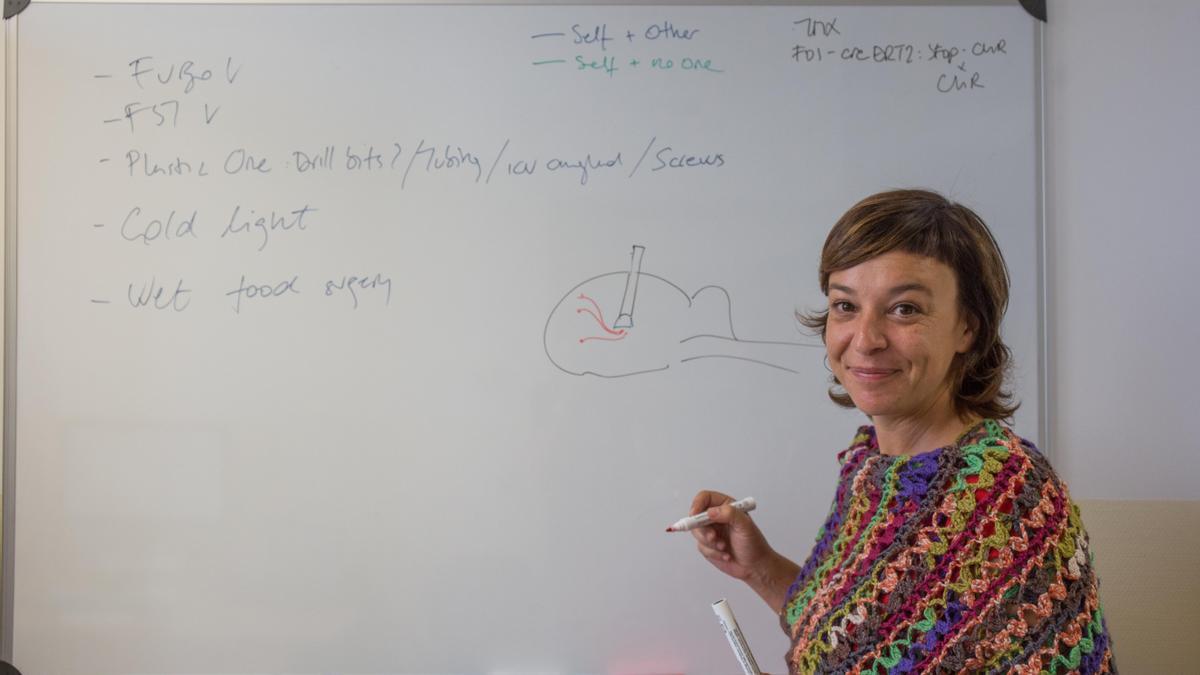 Cristina Márquez, directora del laboratorio de Circuitos Neuronales de la Conducta Social del Instituto de Neurociencias en Alicante.