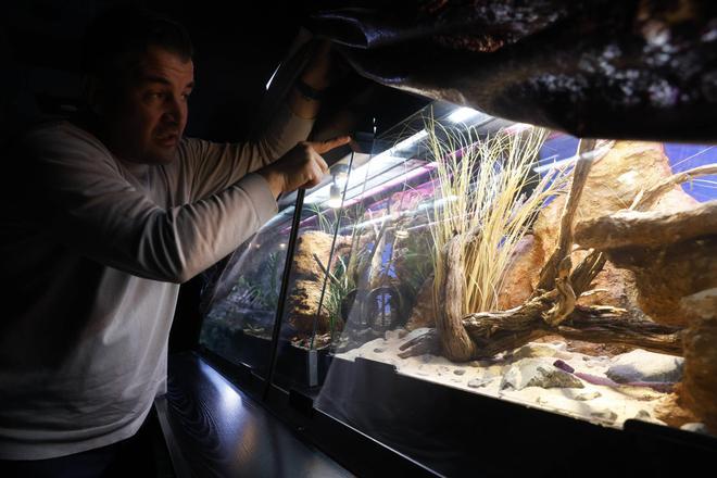 Así es la nueva exposición de animales venenosos en el Acuario de Gijón (en imágenes)