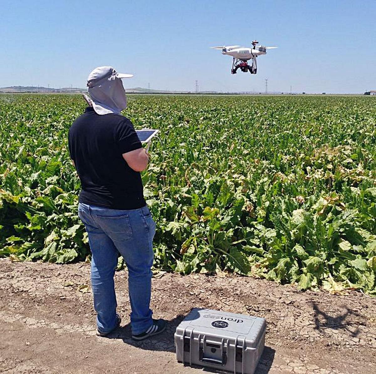 Los drones dan acceso a aspectos muy concretos de la evolución de los cultivos.