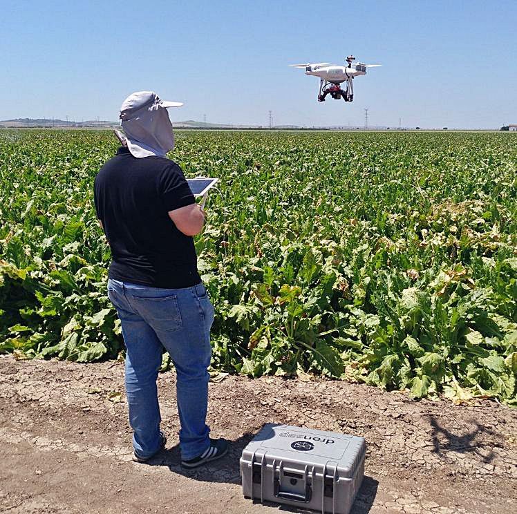 Los drones dan acceso a aspectos muy concretos de la evolución de los cultivos. 