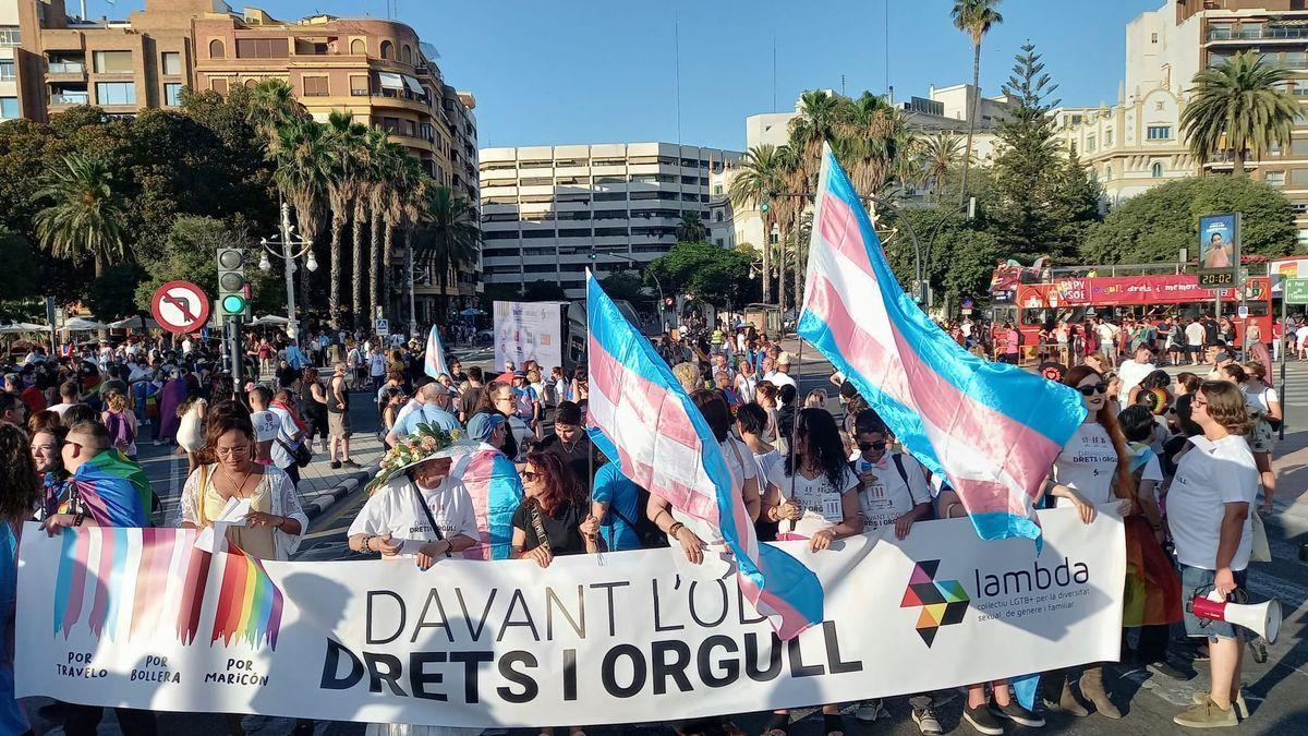 Manifestación del Orgullo en València con varias banderas del colectivo trans.