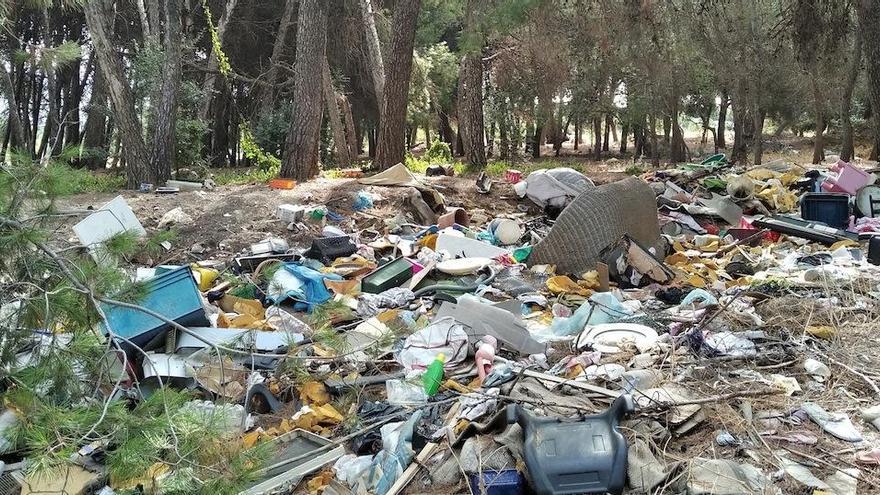 La foto, tomada el pasado miércoles, muestra un extracto del vertedero que se encuentra a espaldas de unas casas mata de la calle Realenga de Maza, en la zona del Cortijo de Maza, en Churriana.