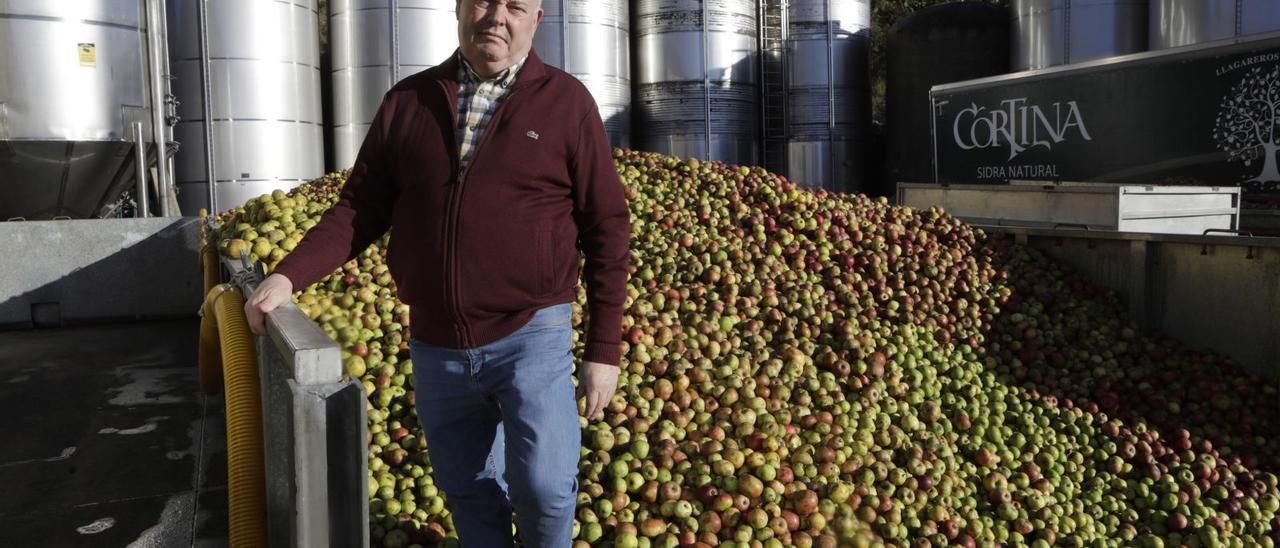 Eloy Cortina Noriega, en  el llagar familiar, en Coro  (Villaviciosa). | |  ÁNGEL GONZÁLEZ