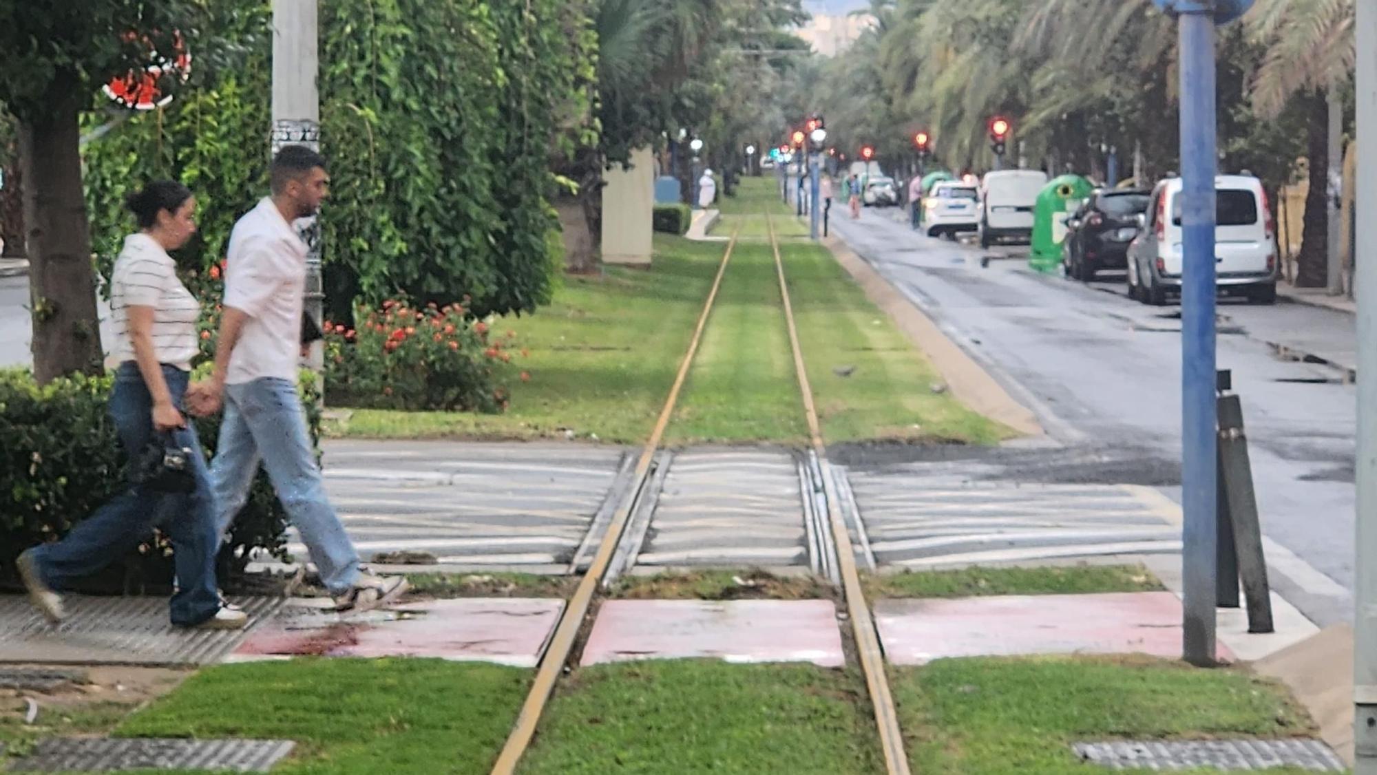 El TRAM sin circulación en Alicante por las lluvias