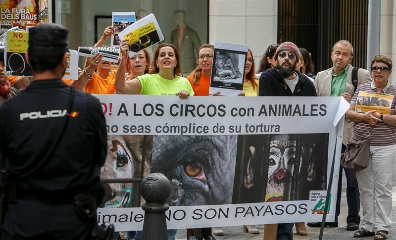 Protesta para prohibir el maltrato de animales