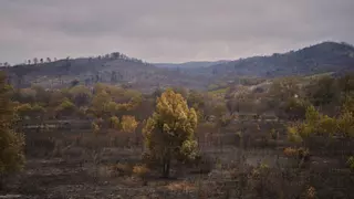 Clàssics d’estiu