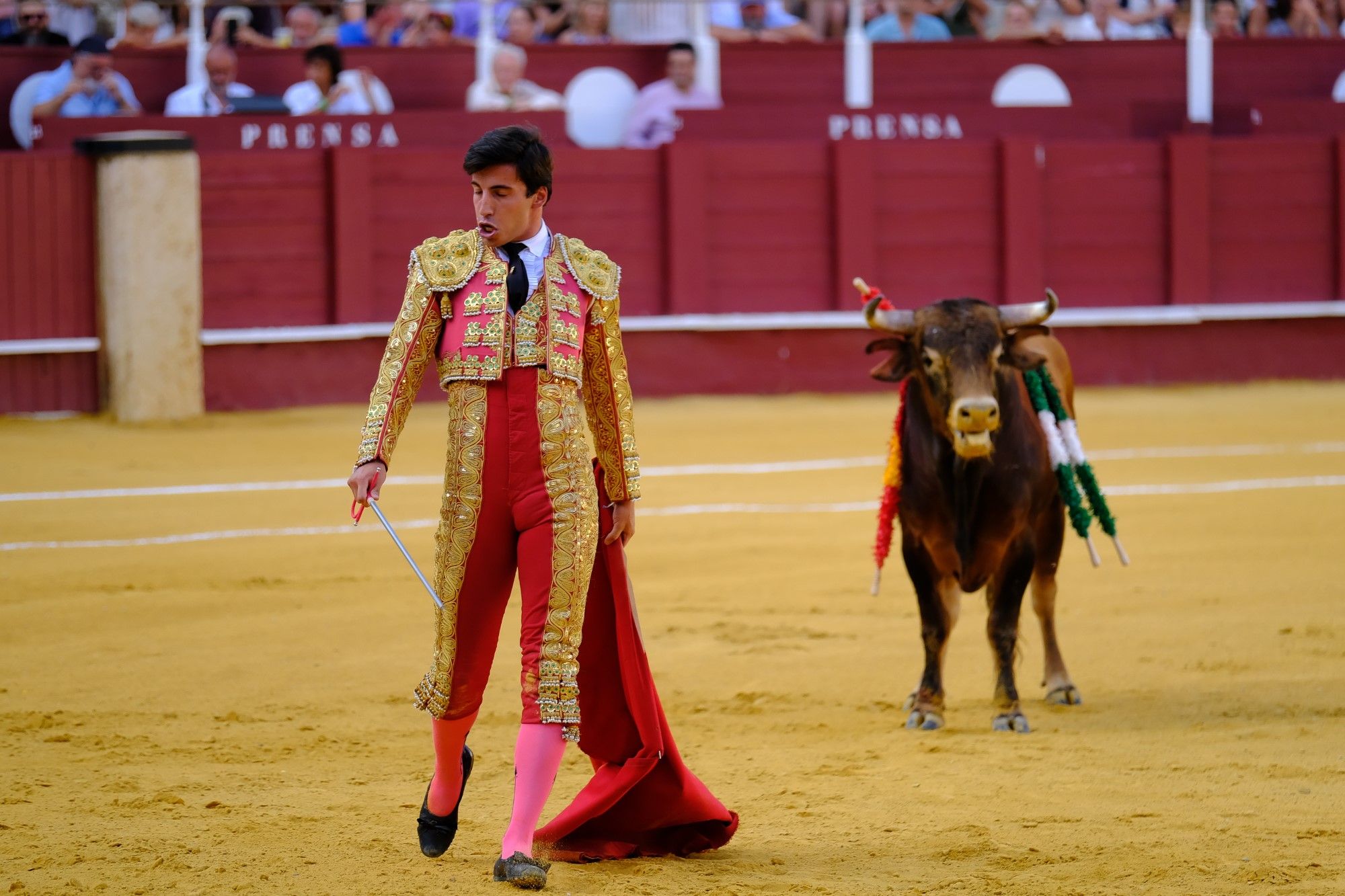 Toros en la Feria | Novena corrida de abono en La Malagueta: 3ª Semifinal de las Escuelas Taurinas