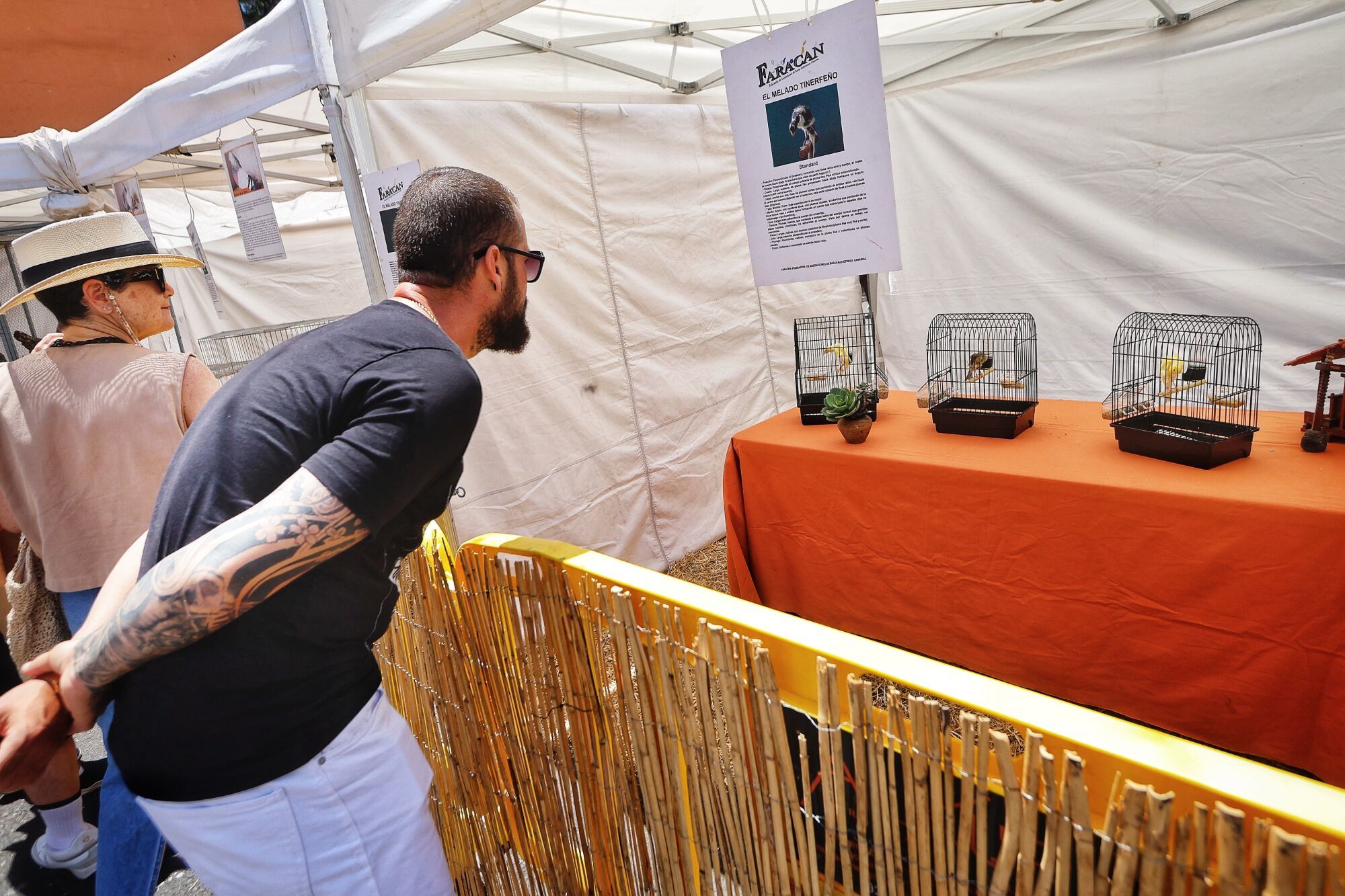 Actividades por el Día de Canarias en Santa Cruz