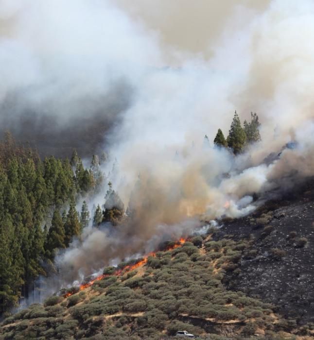 Incendio en Artenara (Gran Canaria)