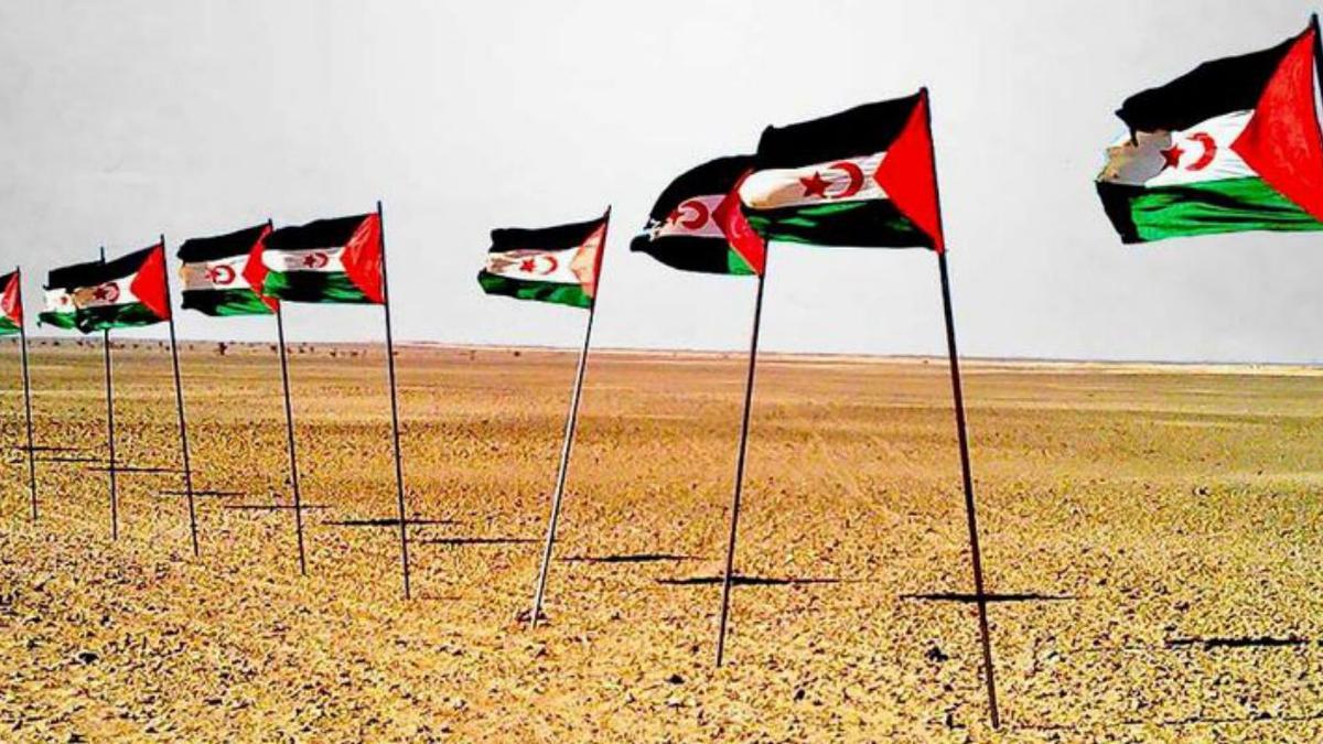 Los grupos instarán al Gobierno a cambiar de postura respecto al Sáhara. | INFORMACIÓN