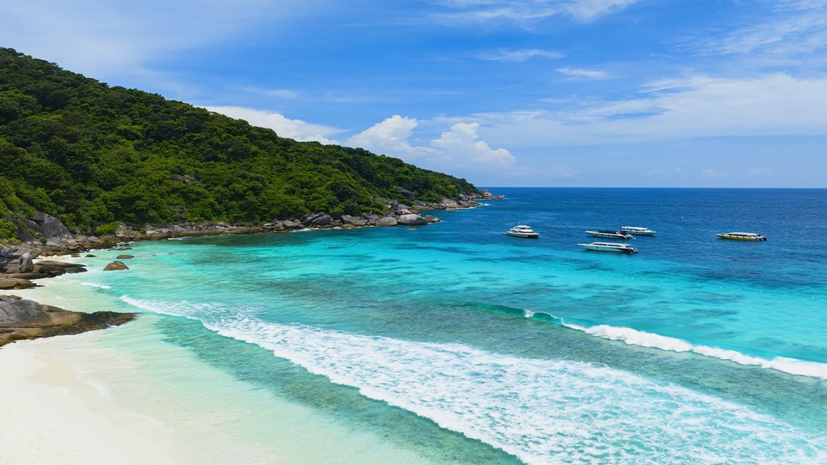 Aguas cristalinas y arena blanca definen el paisaje icónico de las Islas Caimán, un destino caribeño donde la naturaleza sigue siendo protagonista.
