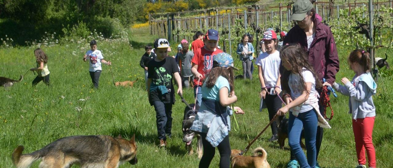 Una actividad del Refuxio de Animais de Cambados.