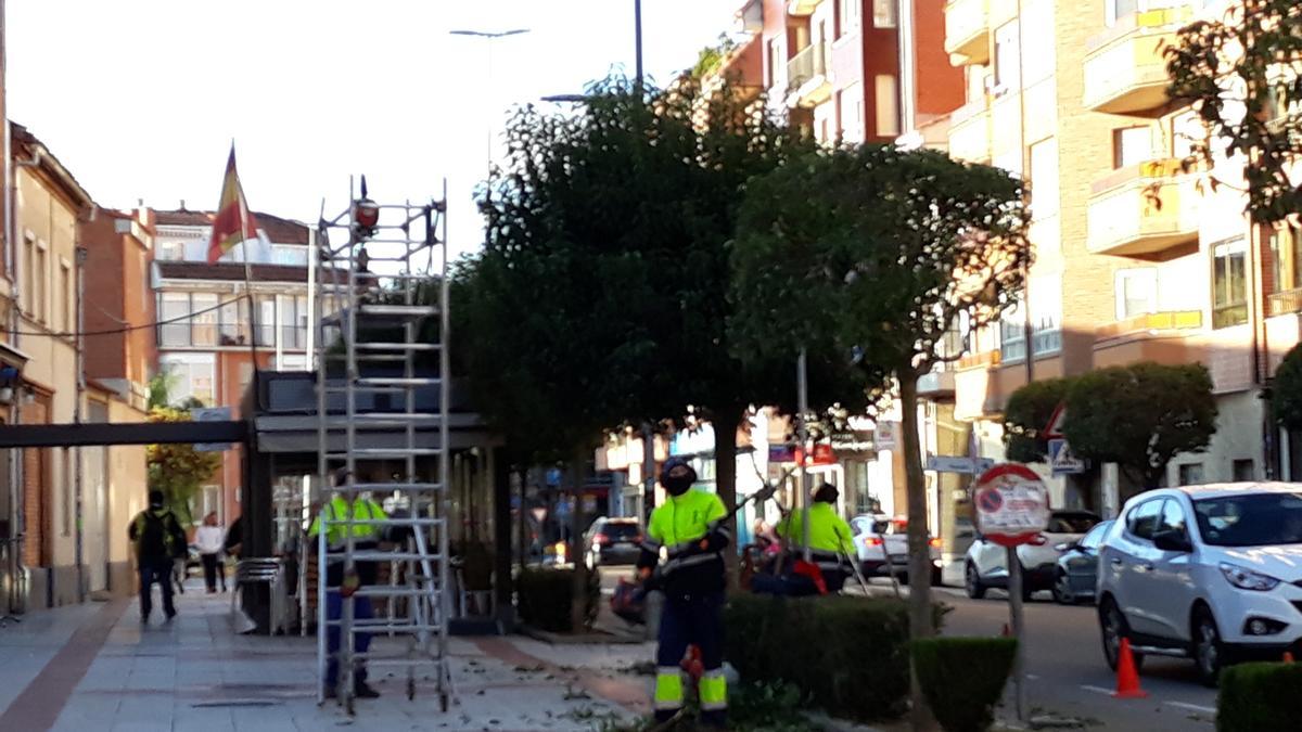 Trabajadores municipales de Benavente, del servicio de jardines. / E. P.