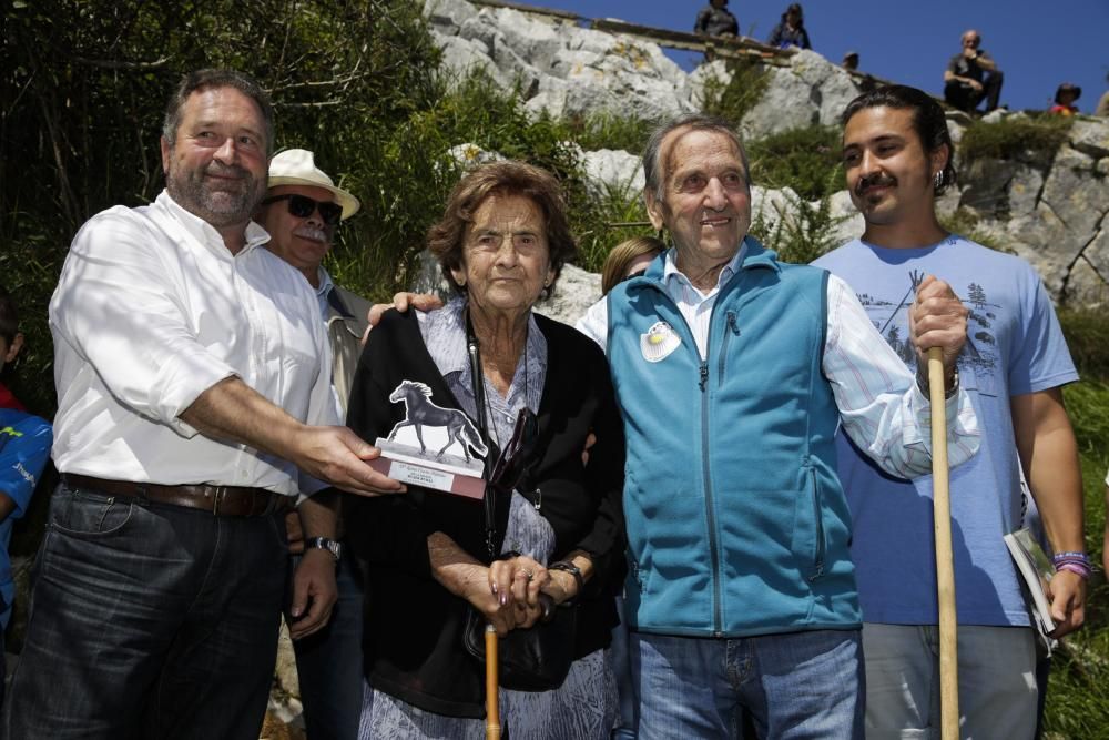 Fiesta del Asturcón en el Sueve