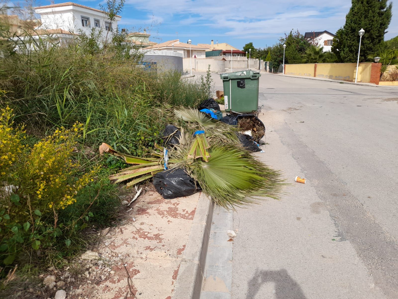 Los vecinos y vecinas de Montesano denuncian la suciedad de la urbanización