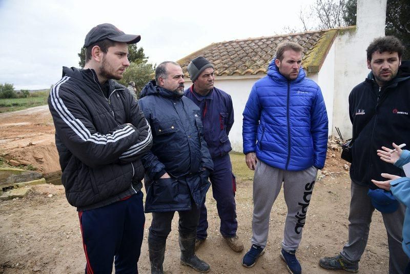 Impresionantes imágenes de la crecida del rio en Gelsa, Pinta y Quinto de Ebro