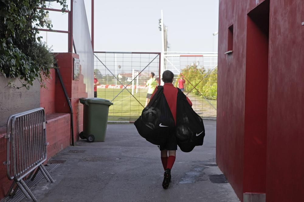 Foto de los 'guajes' de Mareo