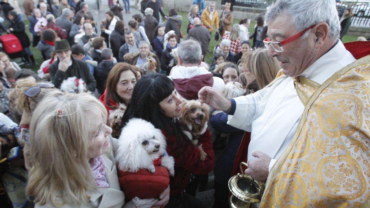 Bendición a las mascotas en el San Antón de 2019, en la Iglesia de La Soledad de O Castro