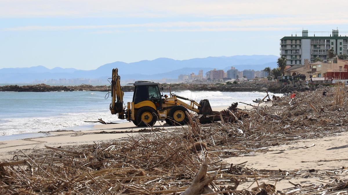 Una retroexcavadora en los trabajos de retirada de cañas en una playa valenciana, en una imagen de archivo.