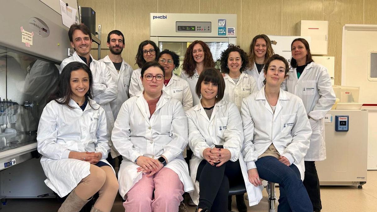 Investigadores de la Universidad de Zaragoza y el grupo Araid, en una imagen de archivo.