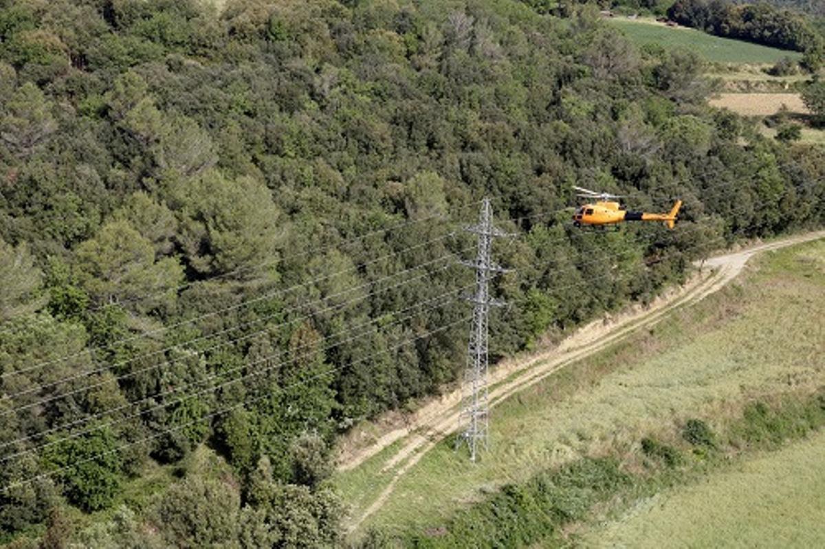 Emergència forestal