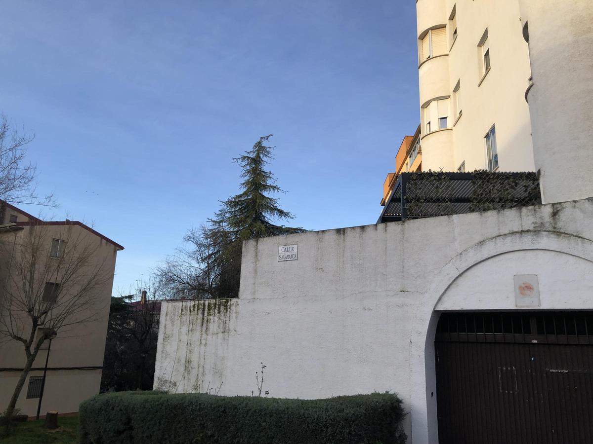 Fotogalería | La calle Salamanca, de Pinturas Mayo al Tambo