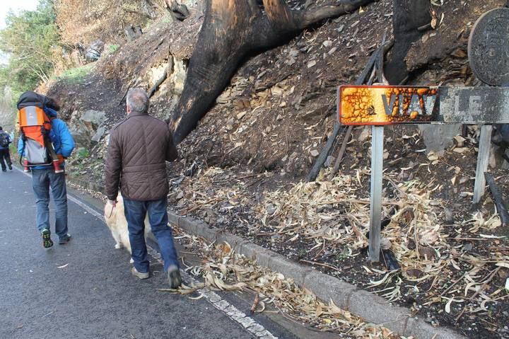 MARCHA ENTRE FUEGO