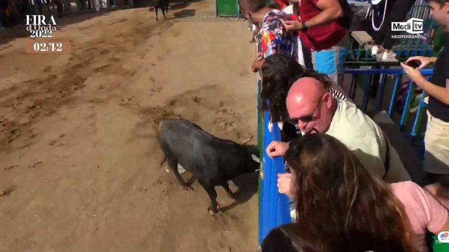 Ingresa en la UCI un joven de Faura que resultó herido tras ser cogido por un toro en Onda