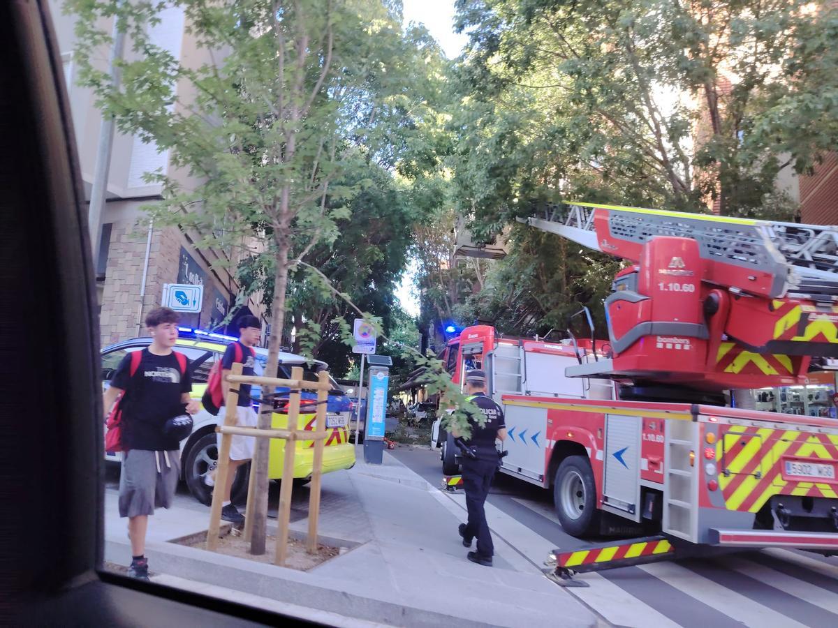 Els Bombers treballant per retirar l'arbre