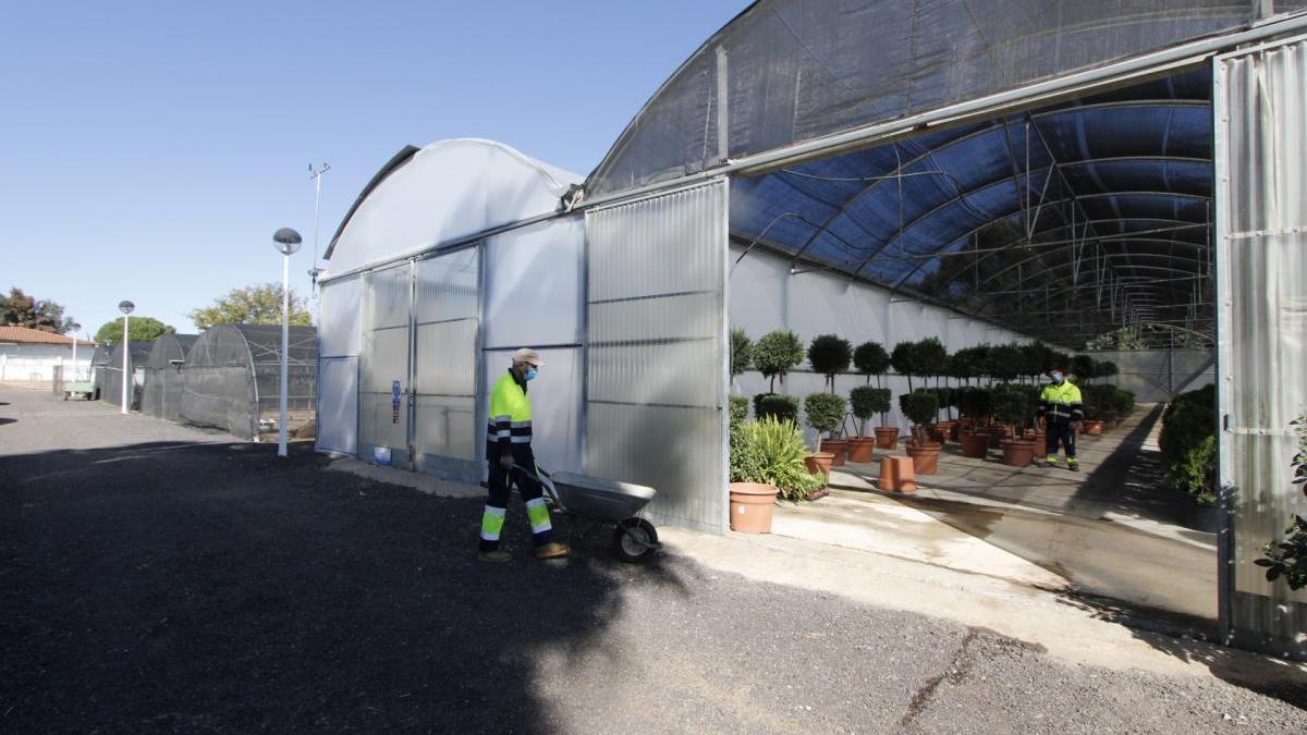 Unidas por Mérida critica un recorte del 50% en los fondos del Plan Experiencia