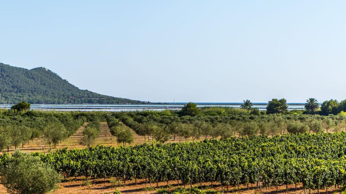 La finca de Can Llaudis se encuentra en el Parque Natural de ses Salines.