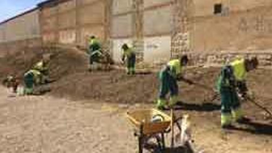 Alumnos del programa de formación y empleo trabajan en la recuperación de la barranquera. Foto