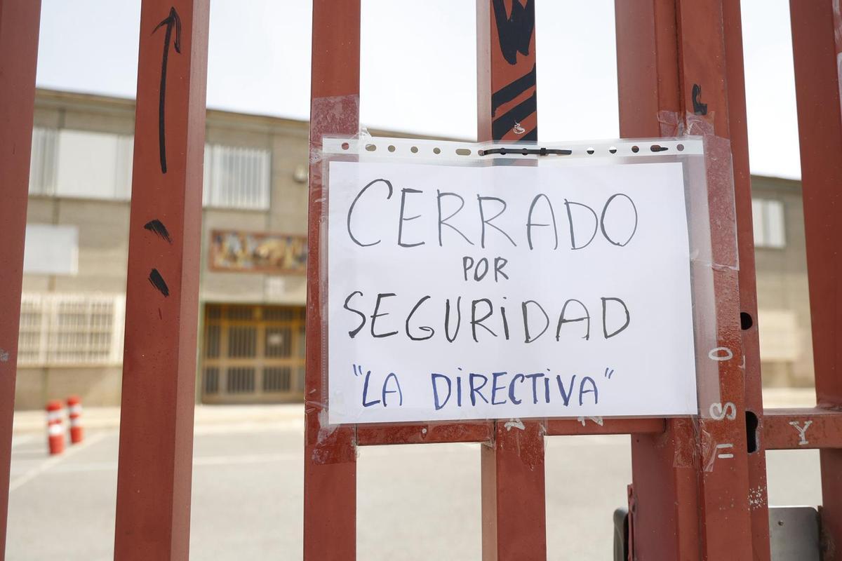 Una plaga de pulgas obliga a cerrar toda la semana la Escuela de Arte y Superior de Diseño de Alicante