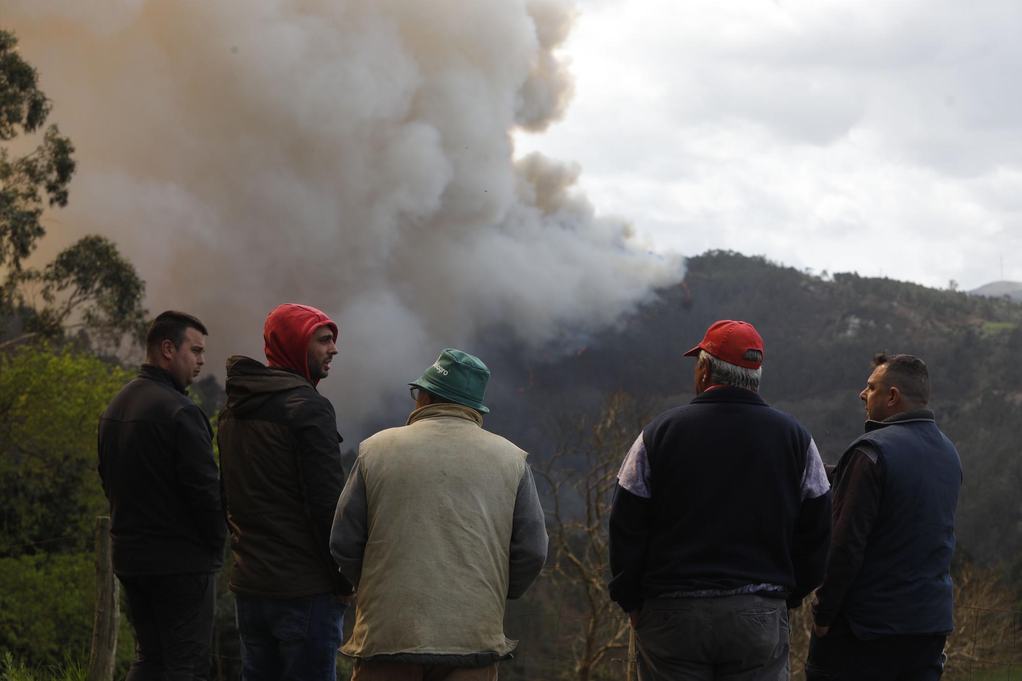 EN IMÁGENES: Gran oleada de incendios en Asturias