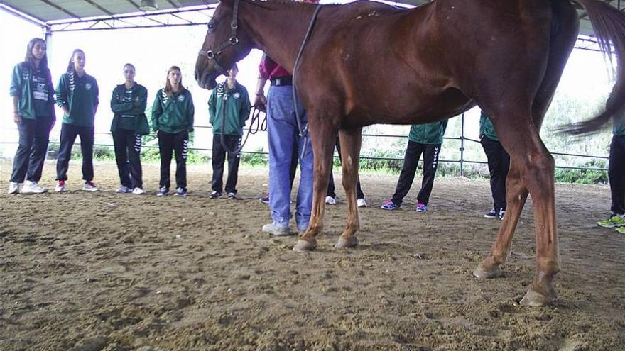 El Adesal trabaja la interacción con caballos