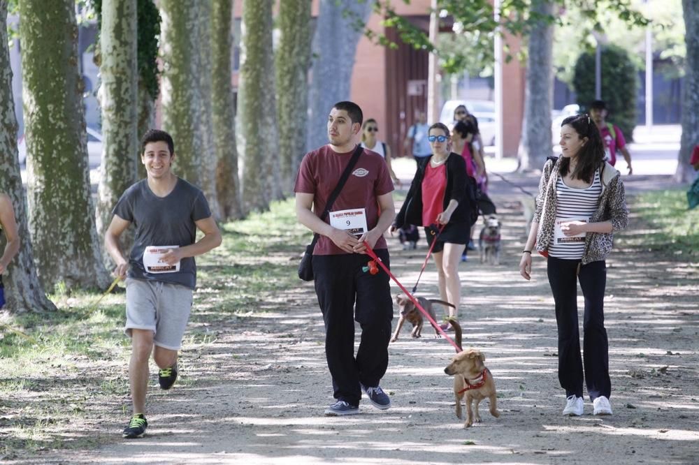 I Marxa Solidària Canina de Diari de Girona