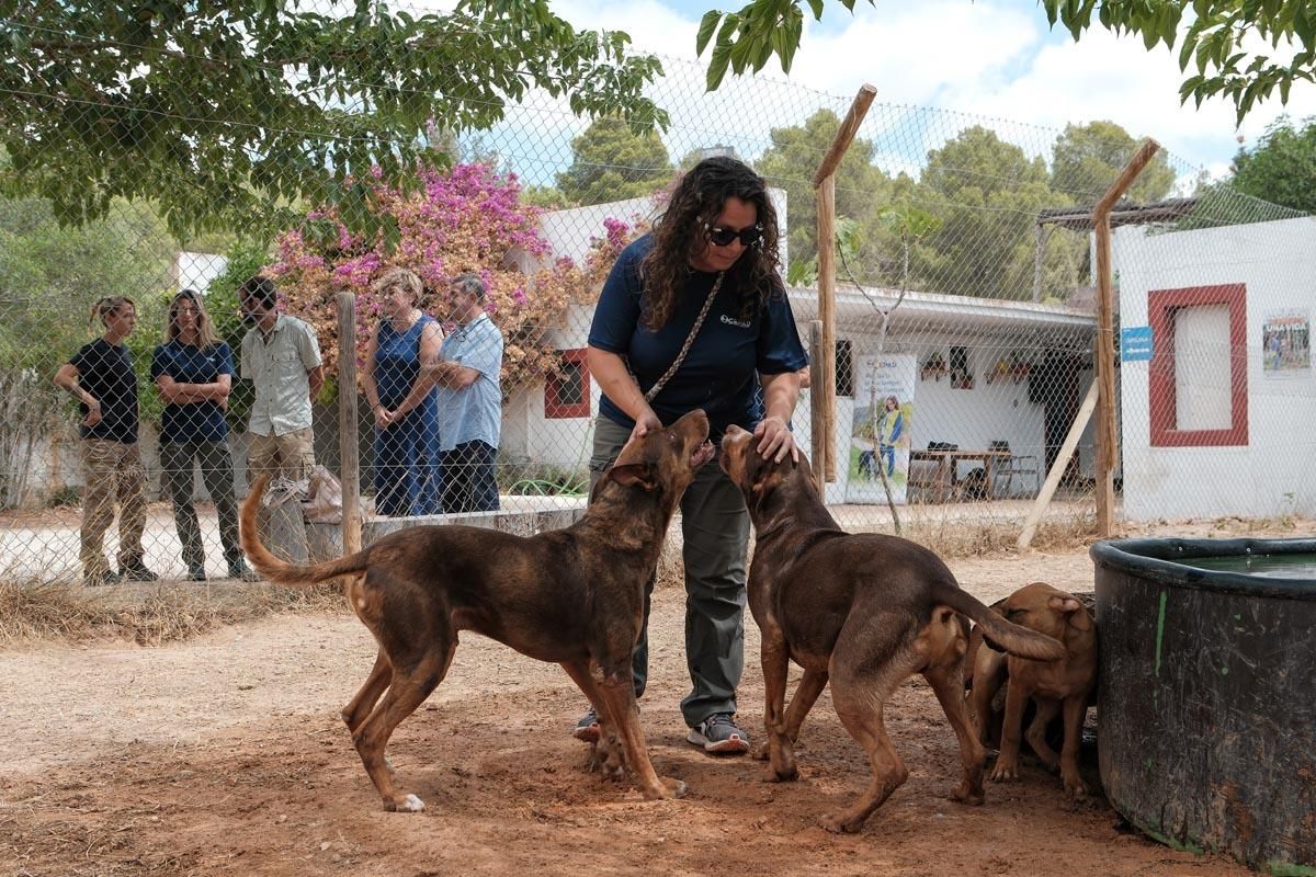 Todas las imágenes de la visita al Centro de Protección de Animales Domésticos de Sant Josep